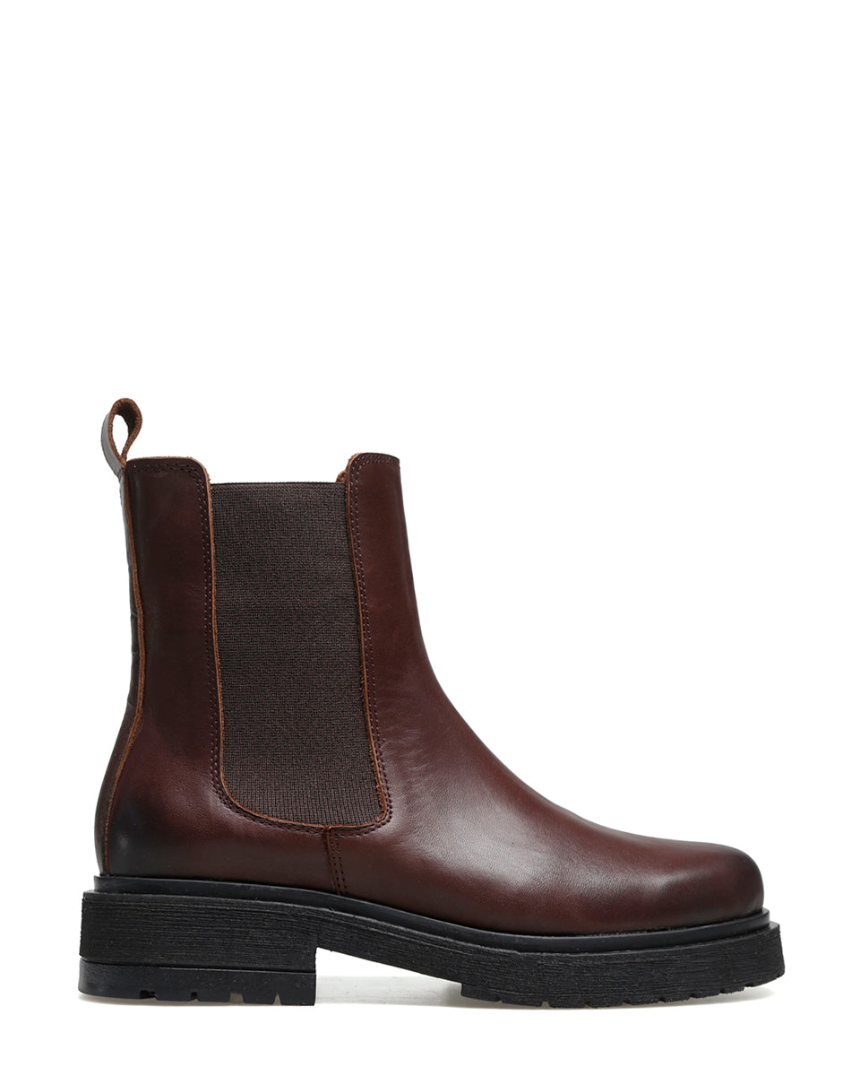 BOTA DALTON