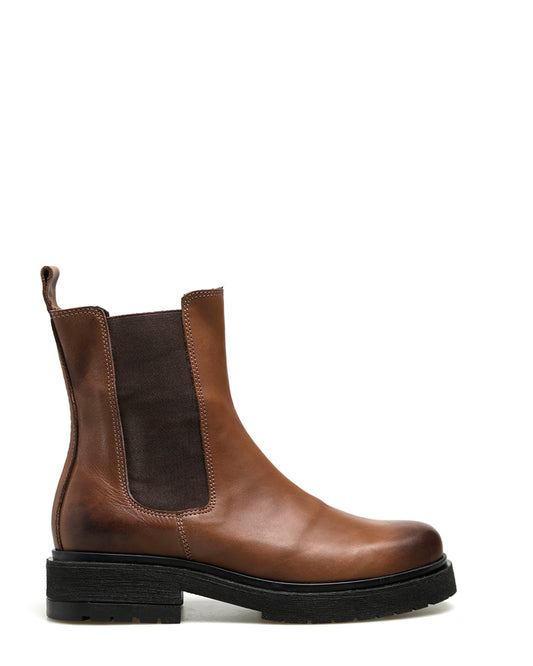 BOTA DALTON