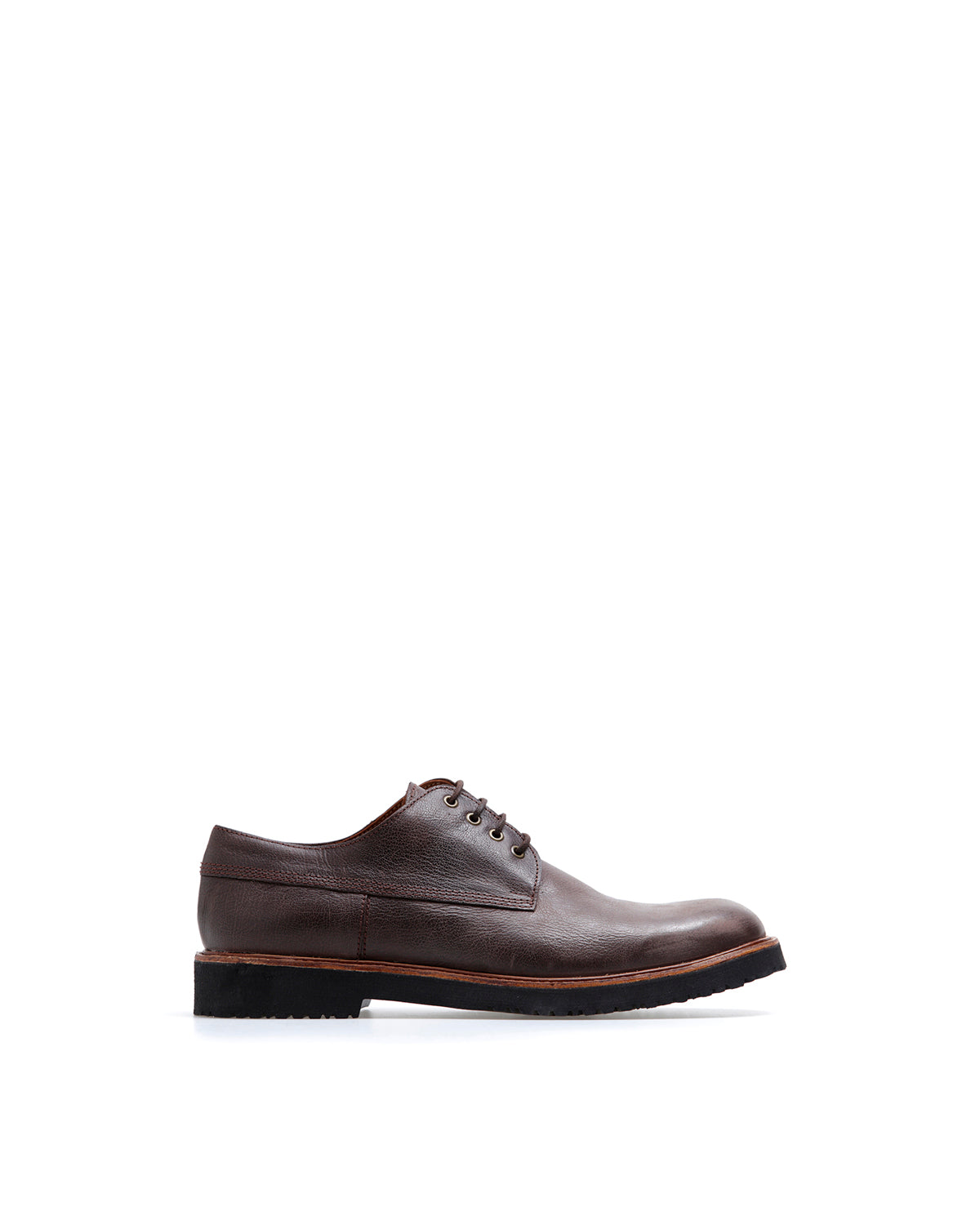 Zapato Bow