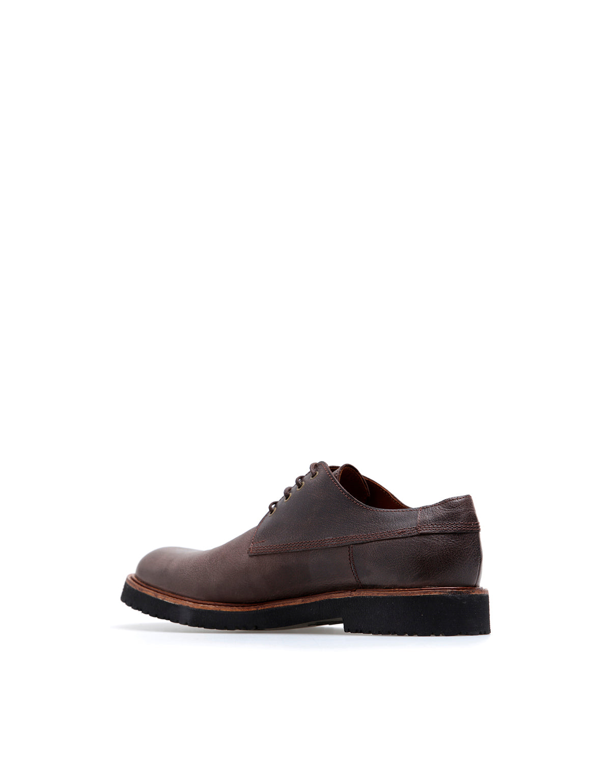 Zapato Bow