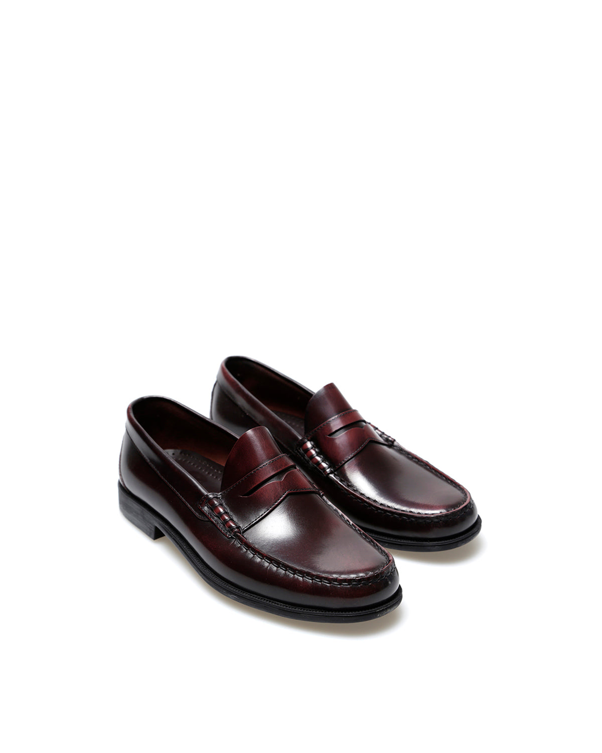 Mocasin Bekam