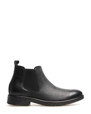 Democrata Bota Dust