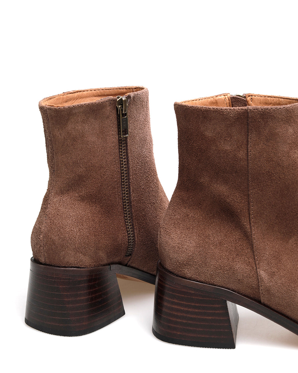 BOTA CASIA